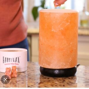 Himalayan Salt Wax Warmer